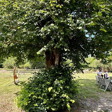 Maison Magnolia Onesse-et-Laharie Zewnętrze zdjęcie