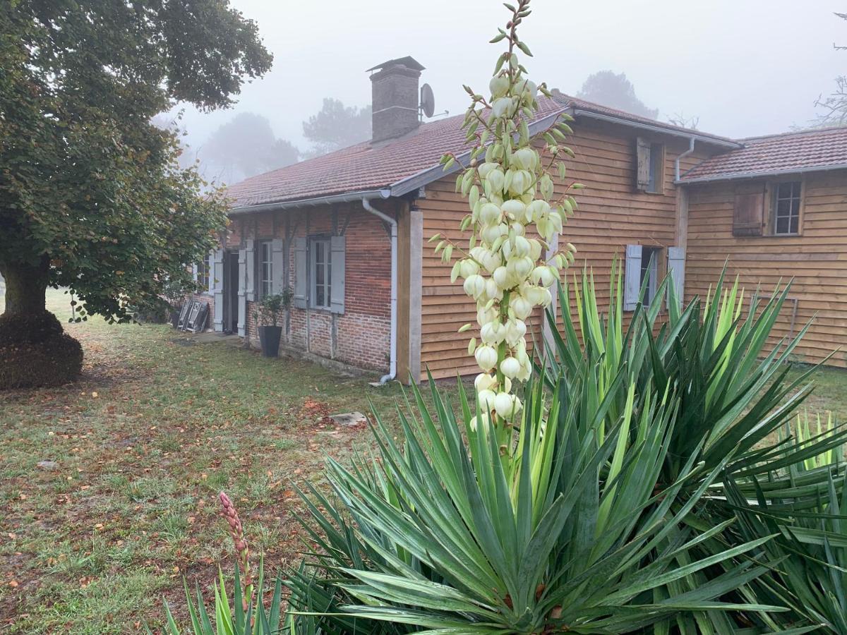 Maison Magnolia Onesse-et-Laharie Zewnętrze zdjęcie