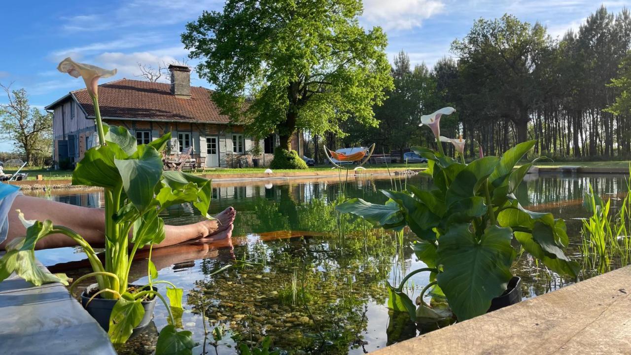 Maison Magnolia Onesse-et-Laharie Zewnętrze zdjęcie