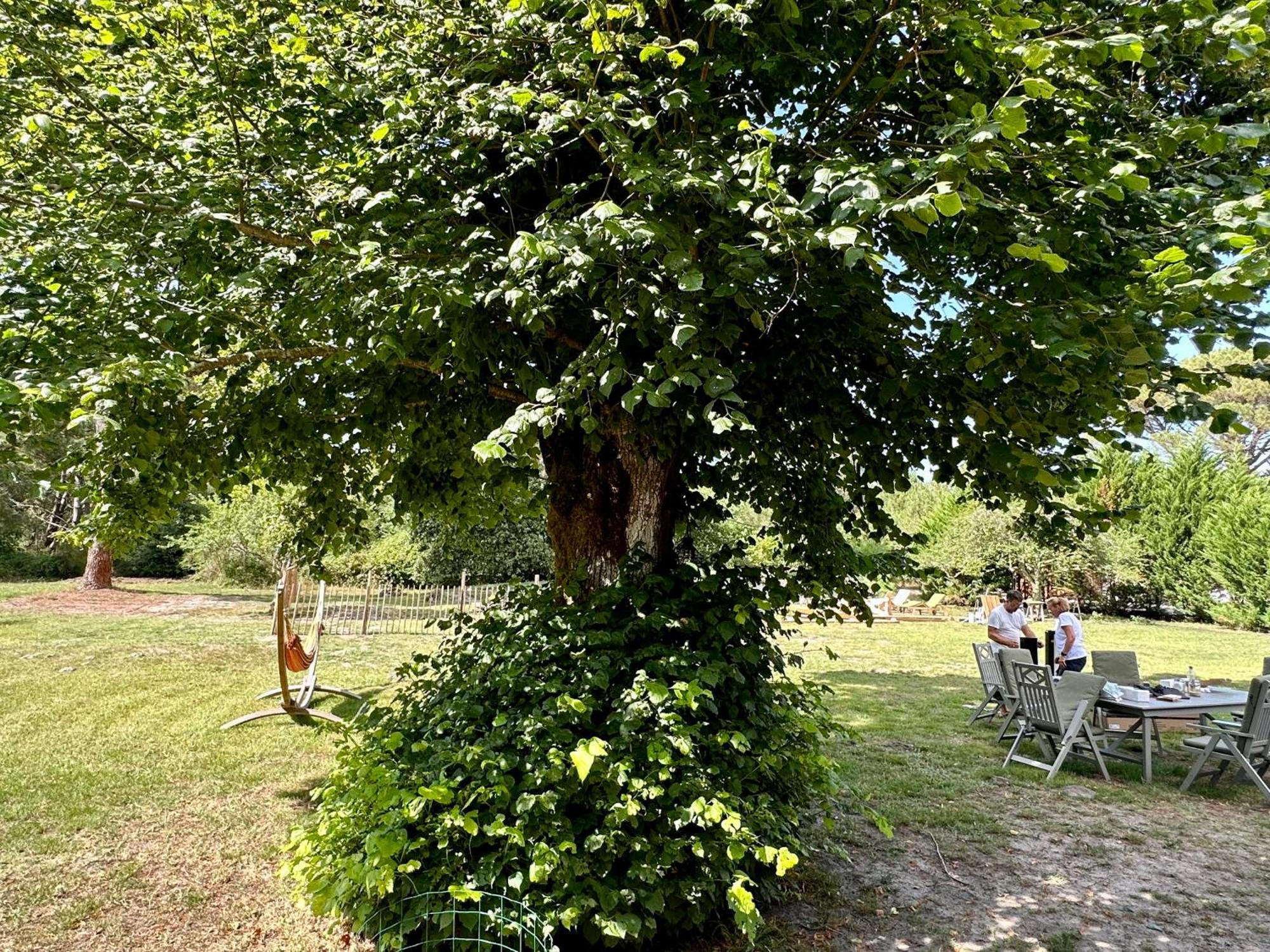 Maison Magnolia Onesse-et-Laharie Zewnętrze zdjęcie