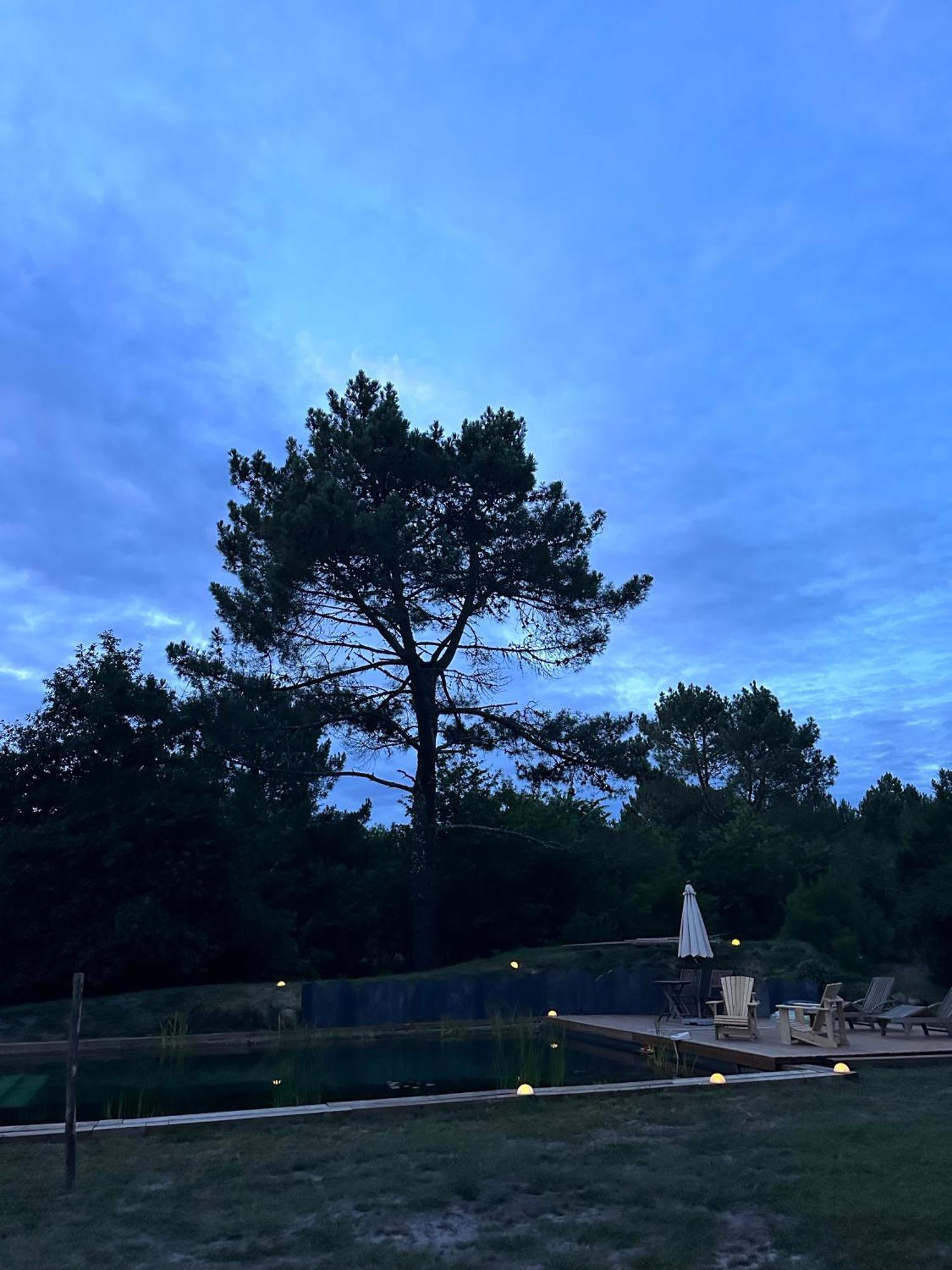 Maison Magnolia Onesse-et-Laharie Zewnętrze zdjęcie