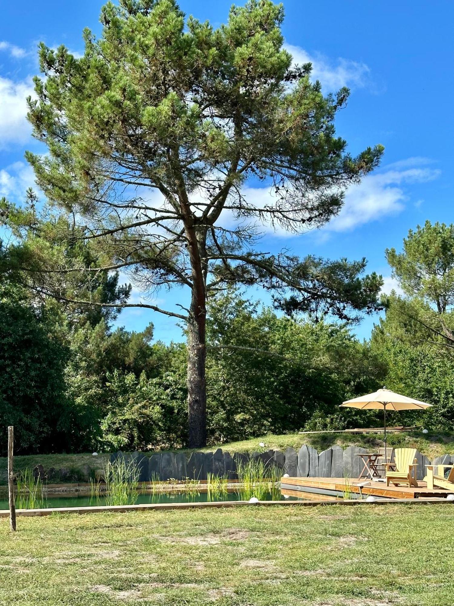 Maison Magnolia Onesse-et-Laharie Zewnętrze zdjęcie